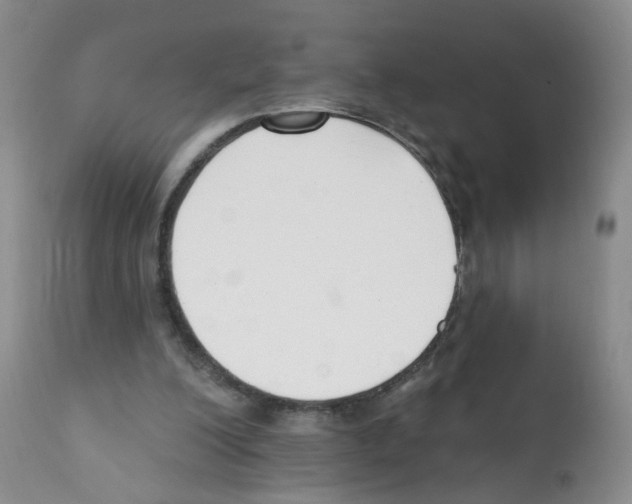 X0000112080200200909151121
