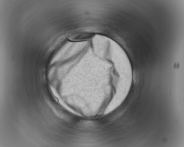 X0000112080205200909151121