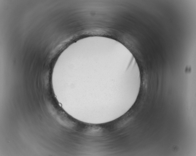 X0000112080206200909151121