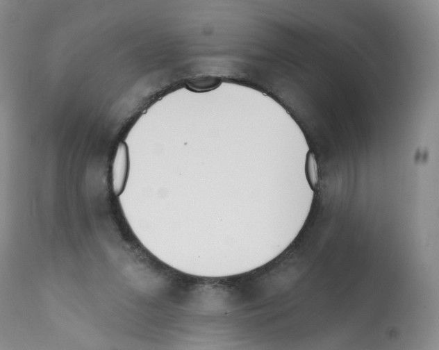 X0000112080207200909151121