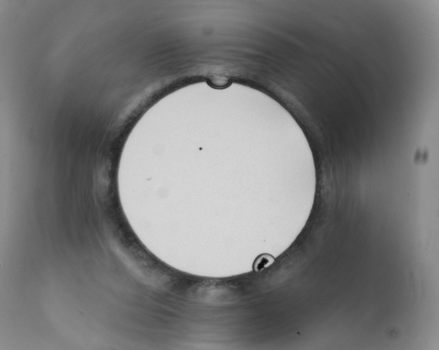 X0000112080208200909151121