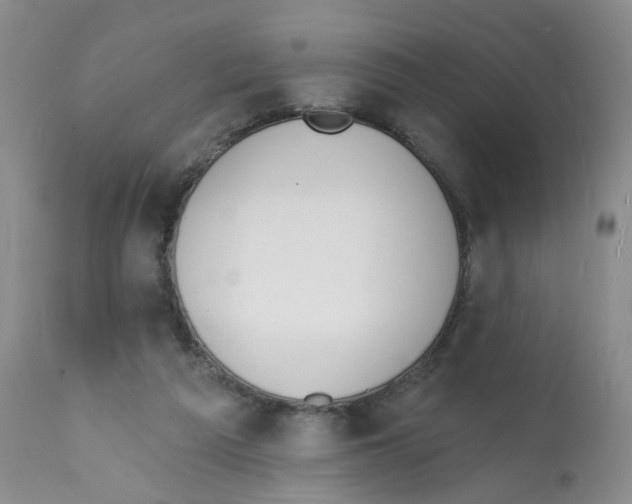 X0000112080209200909151121