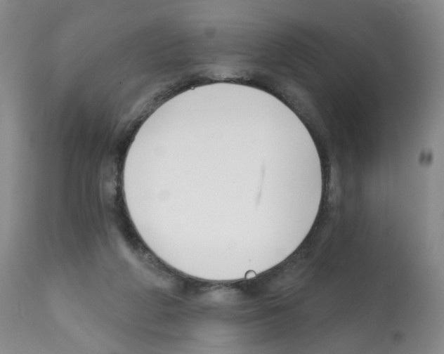 X0000112080210200909151121