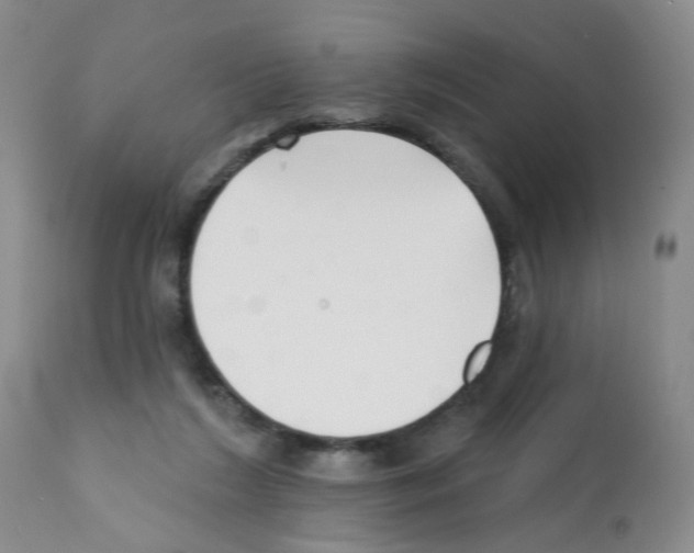 X0000112080212200909151120