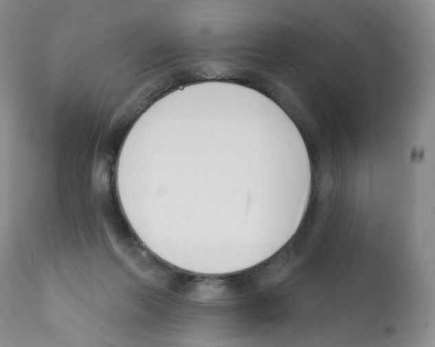 X0000112080214200909151120