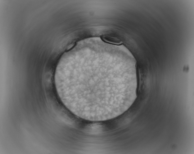 X0000112080219200909151120