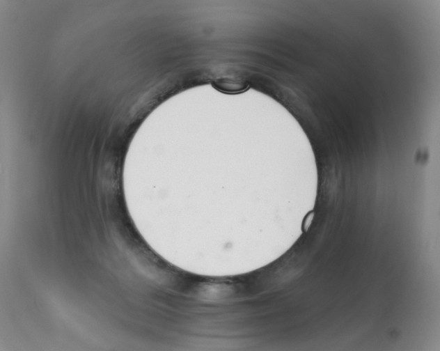 X0000112080220200909151120