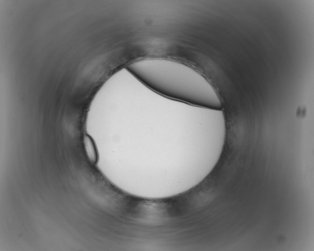 X0000112080221200909151120