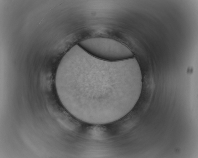 X0000112080223200909151120