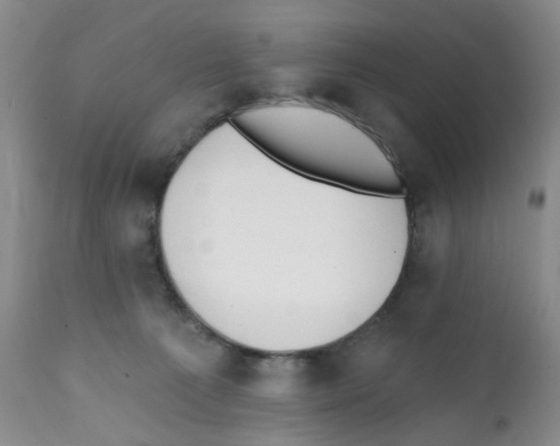 X0000112080225200909151120