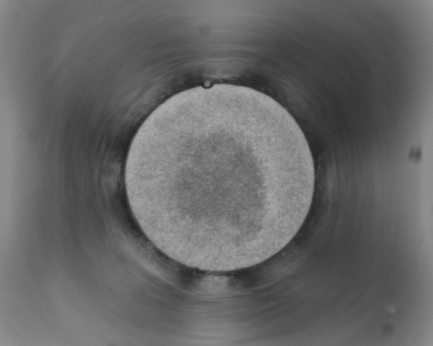 X0000112080227200909151120