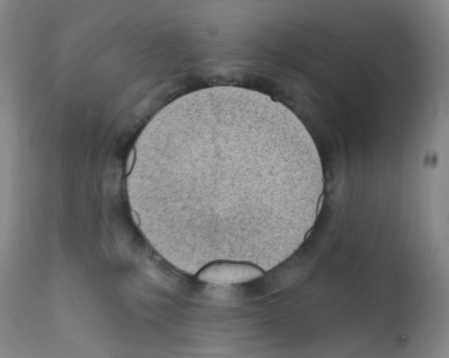 X0000112080231200909151120