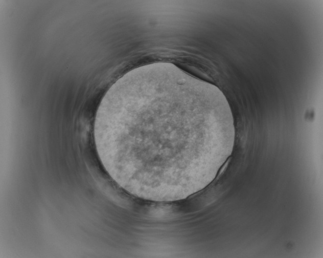 X0000112080235200909151120