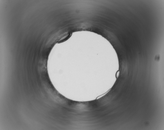 X0000112080236200909151120