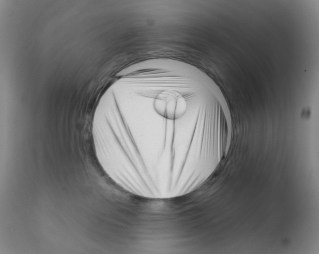 X0000112080237200909151120