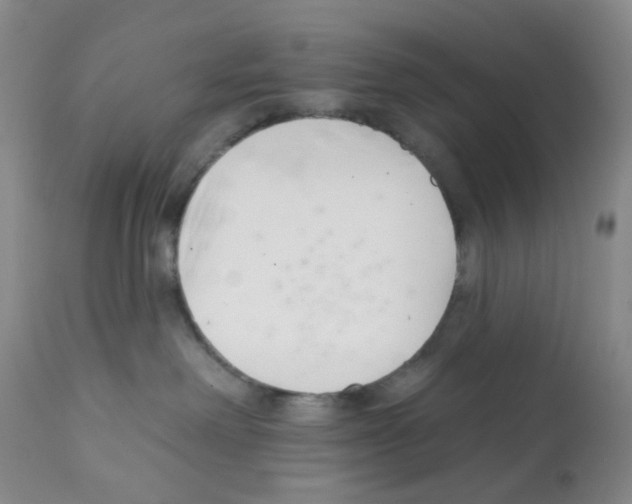 X0000112080238200909151120