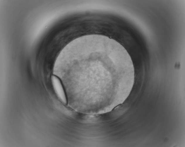 X0000112080239200909151120
