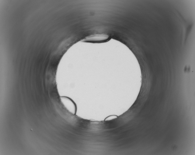 X0000112080240200909151120