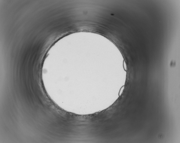 X0000112080241200909151119