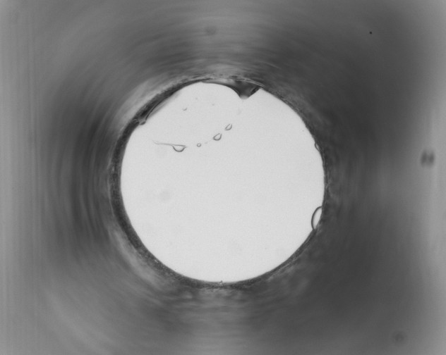 X0000112080242200909151119