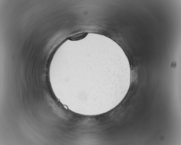 X0000112080243200909151119