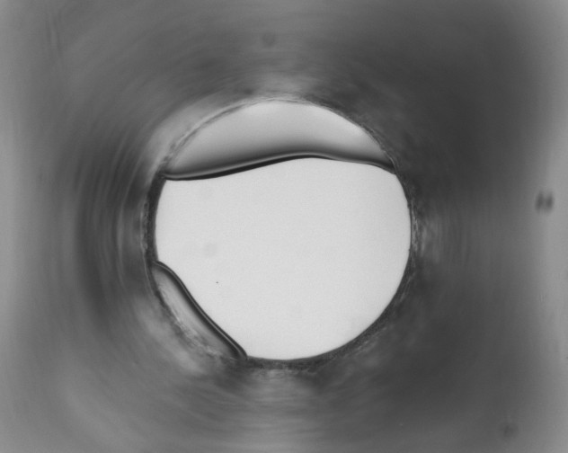 X0000112080244200909151119