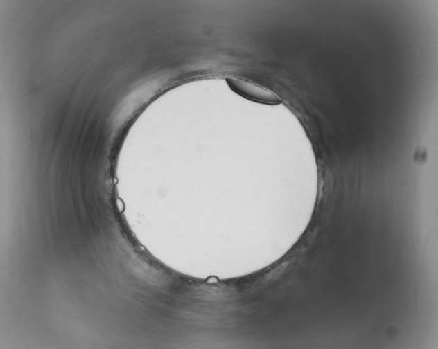 X0000112080245200909151119