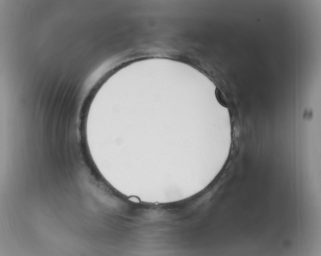 X0000112080246200909151120