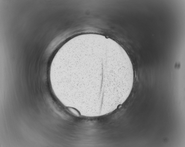 X0000112080247200909151120