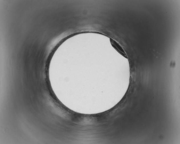 X0000112080248200909151120
