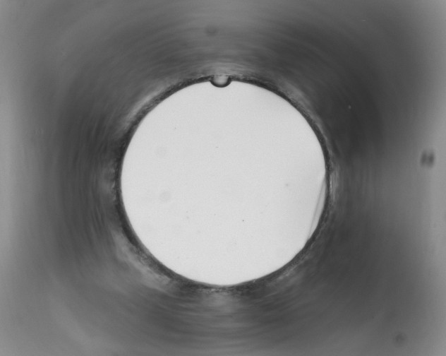 X0000112080249200909151120