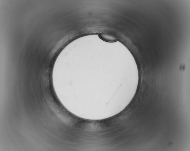X0000112080250200909151120