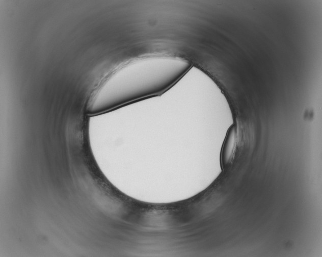 X0000112080252200909151120
