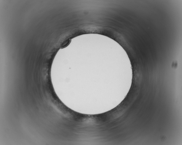 X0000112080259200909151120
