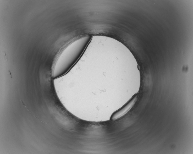 X0000112080260200909151120