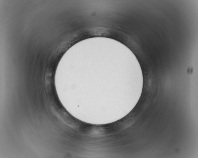 X0000112080263200909151120