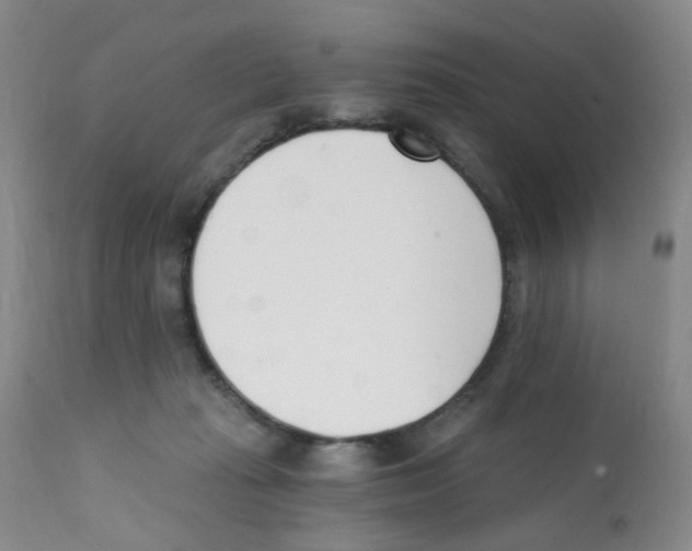 X0000112080269200909151120
