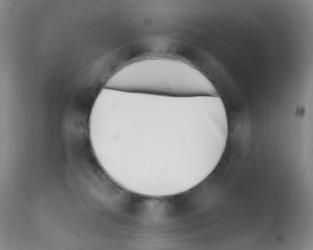 X0000112080272200909151120
