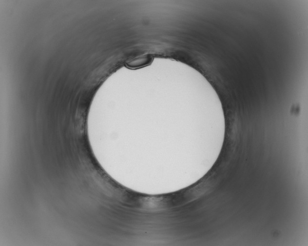 X0000112080273200909151120