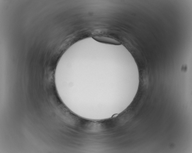 X0000112080276200909151120