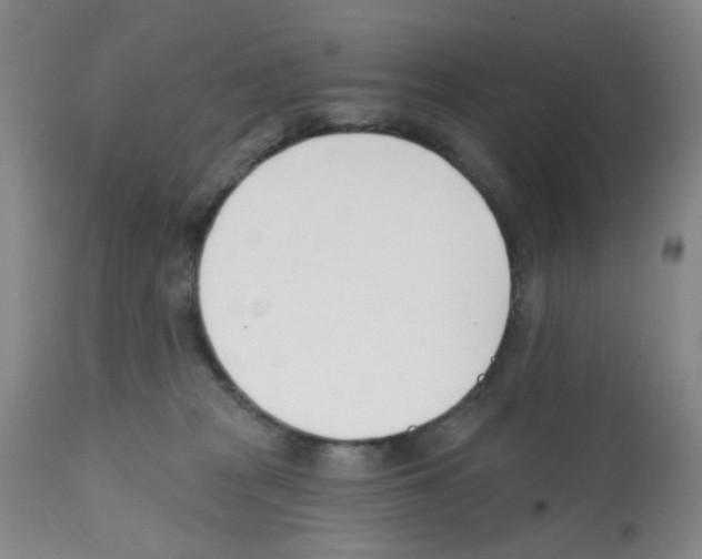 X0000112080277200909151120