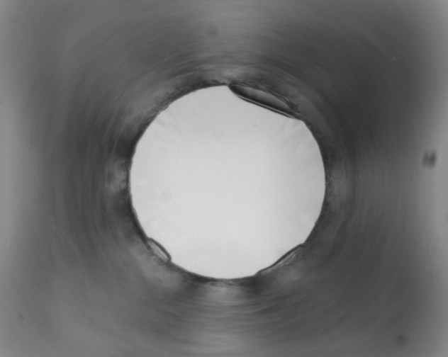 X0000112080284200909151120