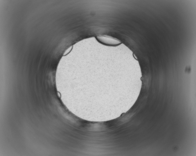 X0000112080286200909151120