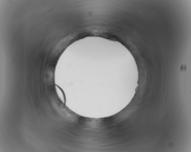 X0000112080288200909151120