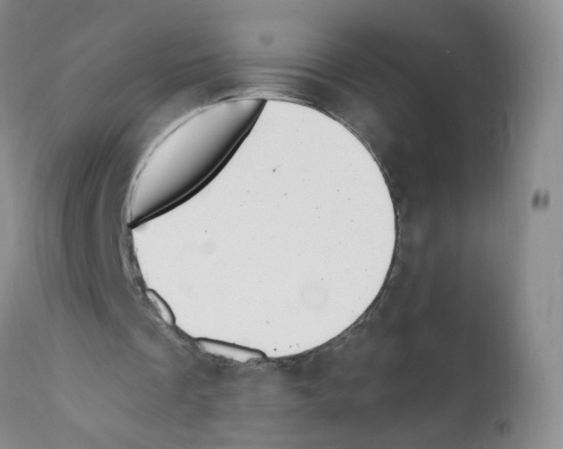 X0000112080289200909151119