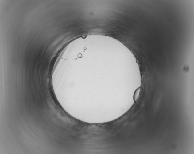 X0000112080290200909151119