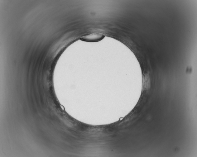 X0000112080291200909151119