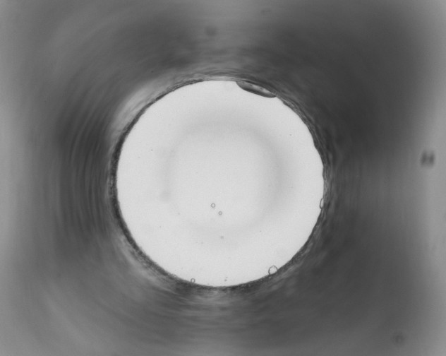 X0000112080293200909151119