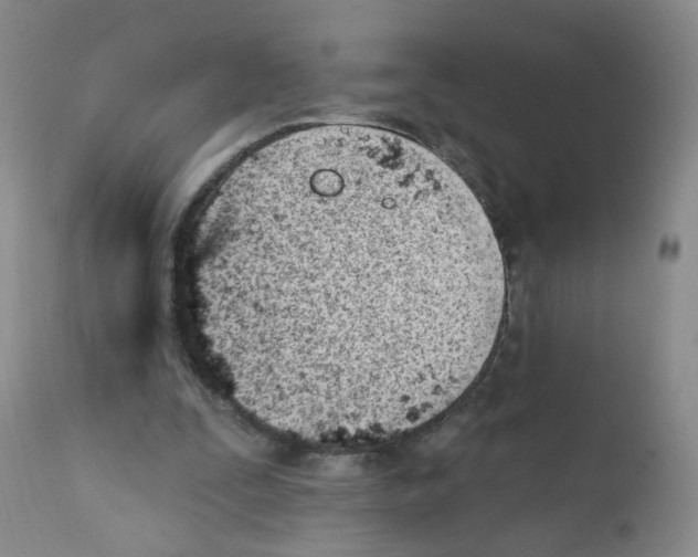 X0000112080295200909151119