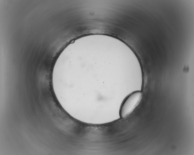 X0000112080297200909151119